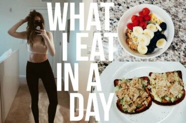 What I Eat In A Day (how i got my abs) | RENEE AMBERG