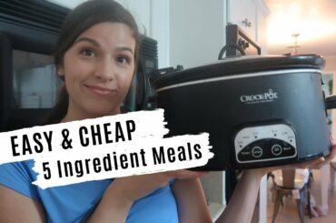 7 EASY & HEALTHY CROCKPOT MEALS: 5 INGREDIENTS OR LESS RECIPES ON A BUDGET