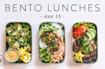 3 Healthy Vietnamese BENTO BOX LUNCHES 🐝 DAY 15 | HONEYSUCKLE