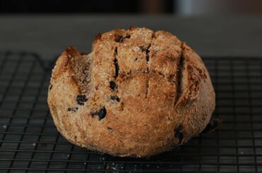 Healthy Bread Recipe | Olive, Rosemary & Reishi | Gluten Free Paleo Keto Friendly