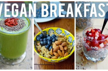 Easy & Healthy Breakfast Ideas | 3 YUMMY VEGAN RECIPES!