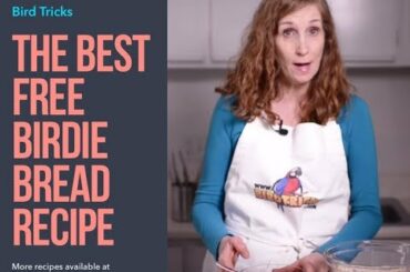 Healthy Birdie Bread Recipe | Parrot Nutrition