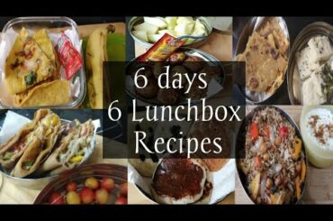 6 Indian Lunch Box Ideas | Kids Lunch Box Recipes Kids Tiffin healthy lunch box ideas for kids||