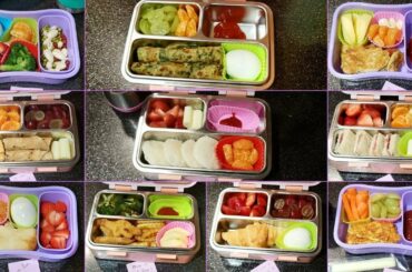 Lunch Box Ideas/Recipes For Toddlers/kids | 10 Easy and Healthy Lunch Box Ideas | School Lunch Box