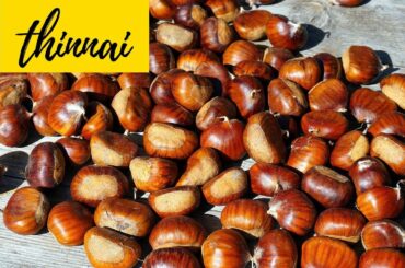 How to Roast Chestnuts | செஸ்ட்நட் வறுப்பது எப்படி | Healthy Snack Recipe