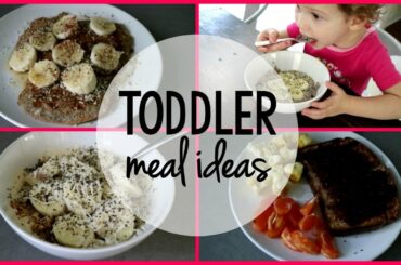 TODDLER MEAL IDEAS | Healthy Breakfasts for Kids