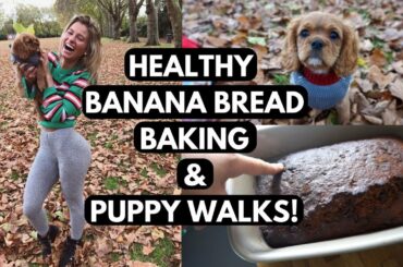 HEALTHY BANANA BREAD RECIPE & My Puppys First Walk | VLOG