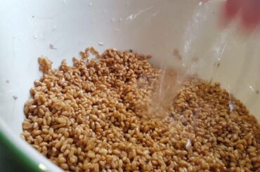 How to Make Sprouted Bread!