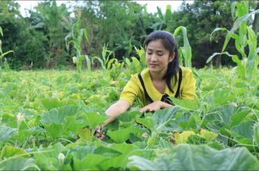 Yummy & Easy Bottle Gourd Recipe - Fresh and Healthy Food Prepare by countryside life TV.