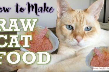 How to Make RAW CAT FOOD (RECIPE) – Homemade Cat Food for Healthy Cats