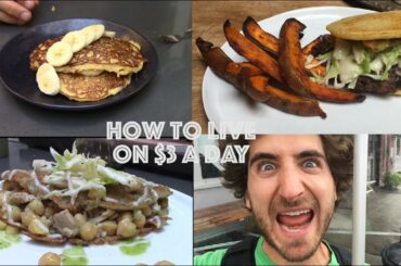 How To Live On $3 a Day | One Dollar Meals | Day One |