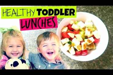 HEALTHY TODDLER LUNCH IDEAS | BABY + TODDLER MEALS