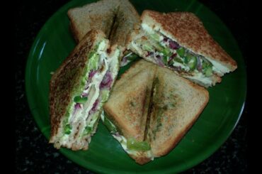 Healthy Paneer(cottage cheese) Sandwich Recipe