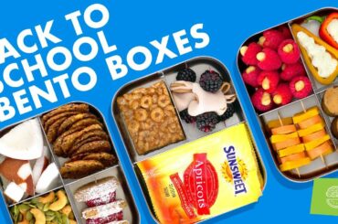 DIY Back To School Bento Snack Boxes! Easy Healthy Recipes!