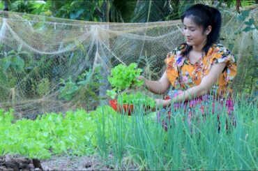 Healthy Green Leaves Lettuce with Beef Recipe - Fresh Lettuce recipe cooking by countryside life TV.