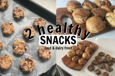 healthy SNACK recipes you need to try! (nut + dairy free)