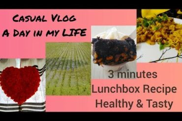 Productive Casual Vlog#Planting trees#outing #3 நிமிடம் Healthy lunch box recipe#தமிழ்