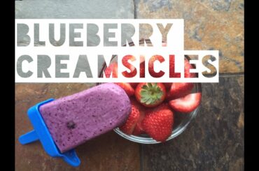 Healthy Low Calorie Blueberry Yogurt Popsicles | How To Make High Protein Blueberry Yogurt Popsicles