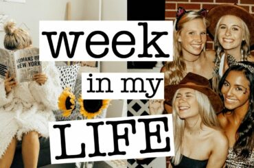 college week in my life: healthy meals, surprising my big, safari party