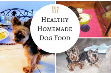 Homemade Dog Food Recipe - Easy to Make, Healthy for Dogs