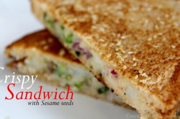 Veg Cheese Sandwich Recipe | Grilled Cheese Sandwich Recipe By Shilpi