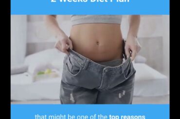 2 weeks diet plan