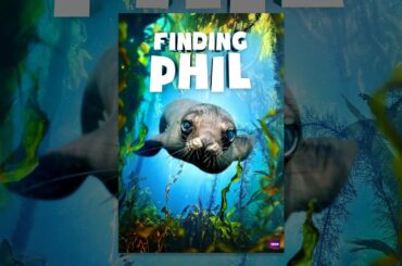 Finding Phil