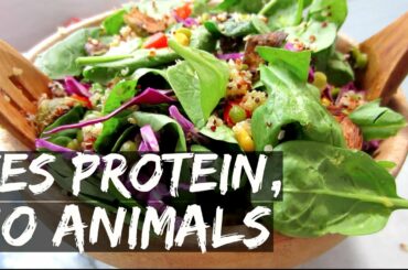 VEGAN SALAD WITH 40g OF PROTEIN?! || RECIPE