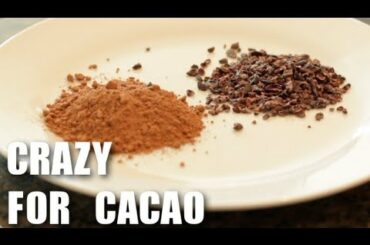 Cacao - Superfood - Healthy Recipes