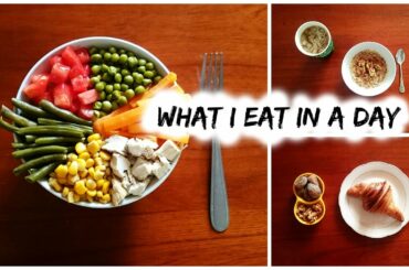 HEALTHY RECIPES FOR SCHOOL/WORK | Quick and Easy!