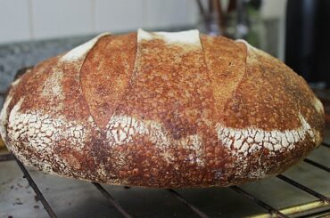 How to Make Sourdough Bread by Feel (No Recipe)