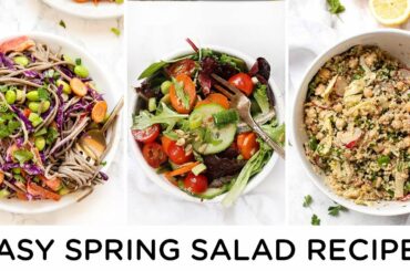 EASY SPRING SALAD RECIPES ‣‣ quick, healthy & light