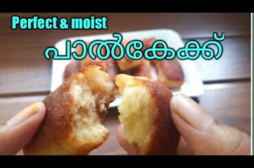 💯ഗോതമ്പ് പൊടി കൊണ്ട് ടേസ്റ്റി പാൽ കേക്ക് Palcake||Easy Snack||Easy Recipes By Shamz Kitchen