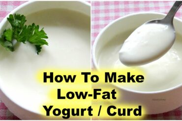 How To Make Low Fat Curd/Yogurt At Home -Homemade Thick Curd/Dahi -Yogurt/Curd For Quick Weight Loss