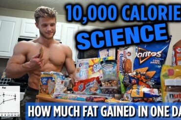 10,000 Calorie Challenge SCIENCE Explained | How Much Fat Gained in One Day?
