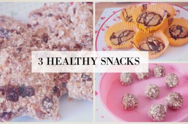 ||  3 HEALTHY SNACK RECIPES || SHANNON FOX ||