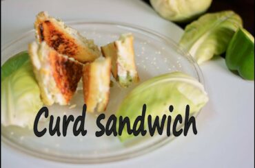 Curd sandwich recipe/yogurt sandwich recipe/kids lunch box recipe/Healthy sandwich recipe