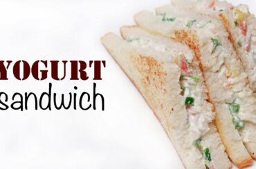 Yogurt Sandwich Recipe | Curd Sandwich | Simple and Easy Sandwich | Online Kitchen | Wow Recipes