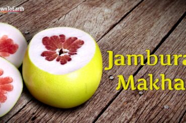 Pomelo Salad Recipe - How To Make Healthy & Spicy Pomelo Salad at Home.