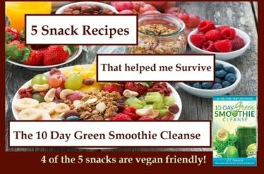 5 snack recipes that got me through the 10 Day Green Smoothie Cleanse.