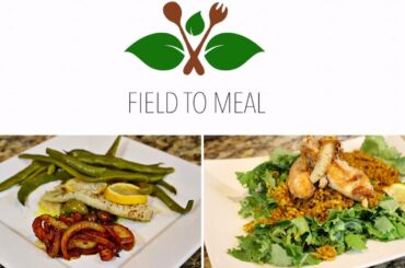 FAT LOSS HEALTHY DINNER IDEAS W/ FIELD TO MEAL | DALLAS, TX  HEALTHY & LOCAL MEAL DELIVERY SERVICE