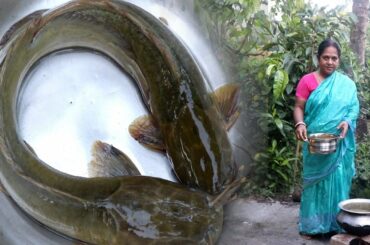 Healthy Magur Macher Bhapa / Traditional Magur Macher Bhapa Recipe