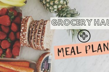 MEAL PLANNING | GROCERY HAUL| EASY HEALTHY DINNER IDEAS