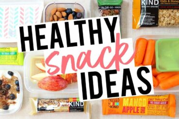 HEALTHY, ON-THE-GO SNACKS! Easy Ideas for Work + School!