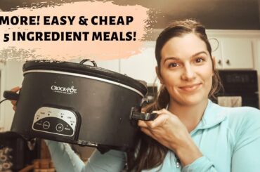 7 EASY & HEALTHY CROCKPOT MEALS: 5 INGREDIENTS OR LESS RECIPES ON A BUDGET