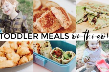 4 HEALTHY BACK TO SCHOOL LUNCH IDEAS 2019!!! | Toddler Meal Ideas For On The Go! (AD) Justine Marie