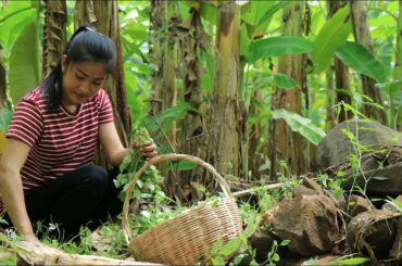 Fresh Peperomia pellucida with Beef Recipe - Healthy food prepare by countryside life TV.