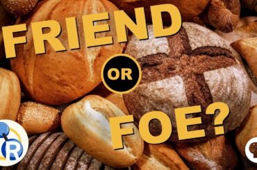 What's the Deal with Gluten?