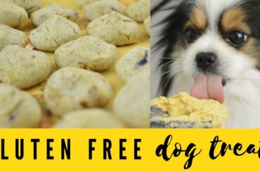 GLUTEN FREE TREATS FOR DOGS  + TIP FOR ADDED NUTRITION