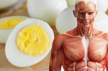 If You Eat Hard boiled Eggs Daily, this is what happens to your body I HealthPedia